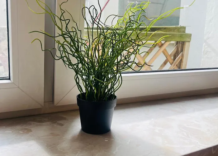 Im Herzen Der Stadt ,naehe Stadion. Appartement